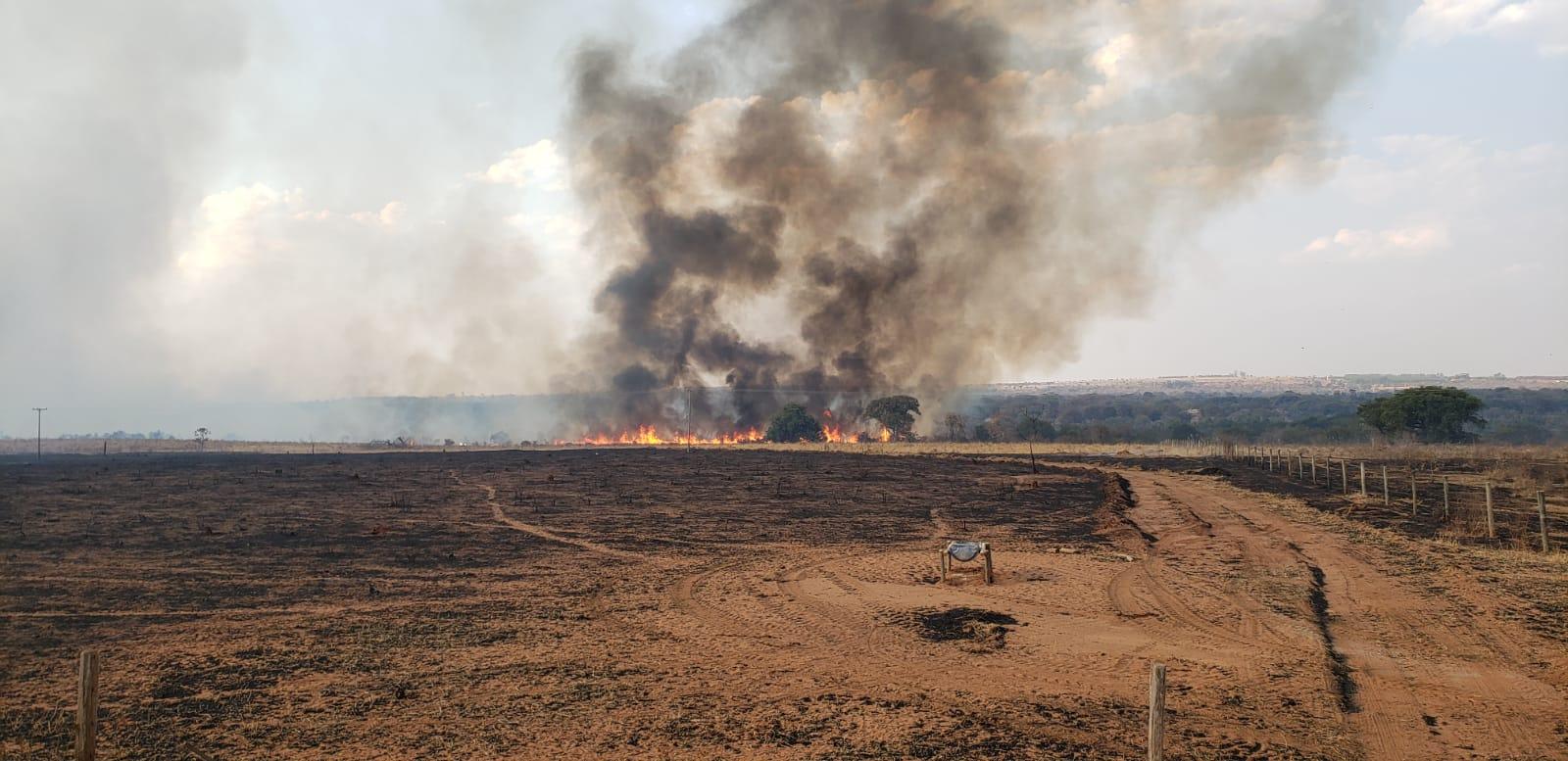 Bolsão em chamas: múltiplos incêndios mobilizam Corpo de Bombeiros em TL e região