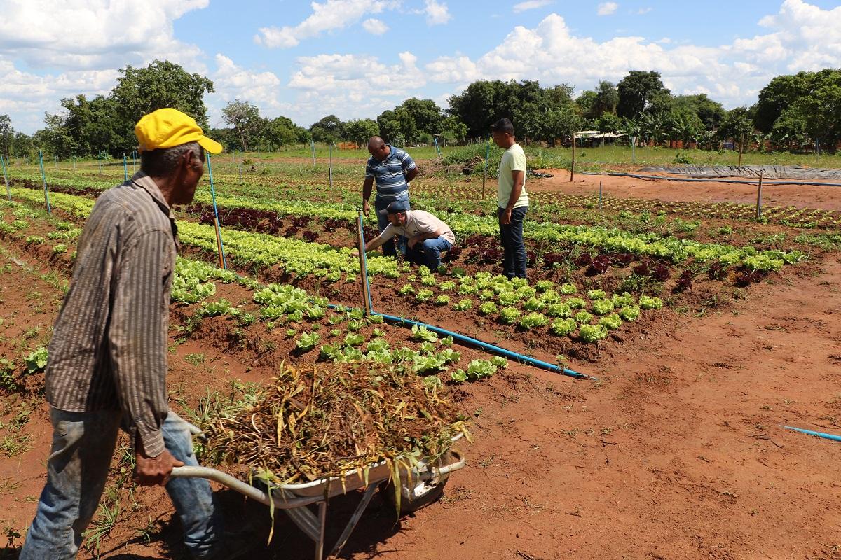 Licitação para obras da Central de Comercialização da Agricultura Familiar é lançada Licitação para obras da Central de Comercialização da Agricultura Familiar é lançada