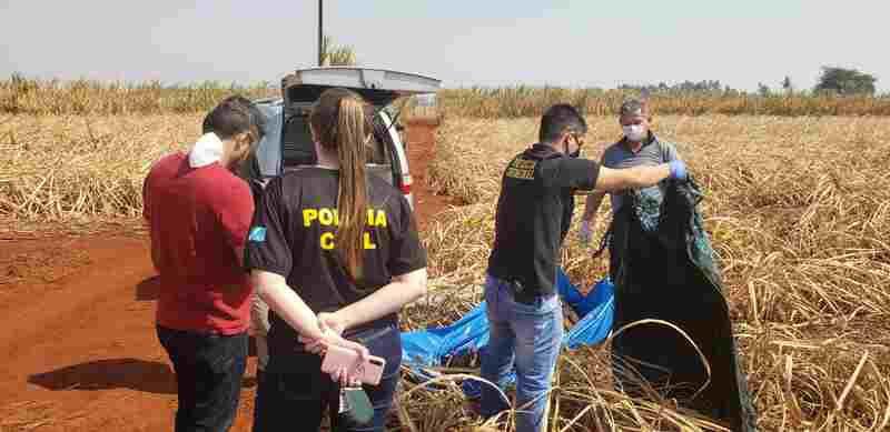 Moradora de Dourados é encontrada morta em canavial