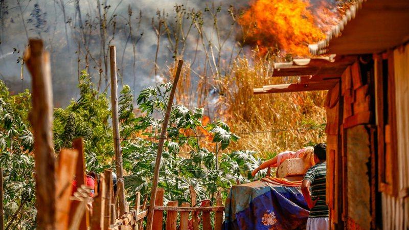 MS em chamas: Com mais de 4 mil incêndios florestais em 2021, estado tem quatro pontos críticos