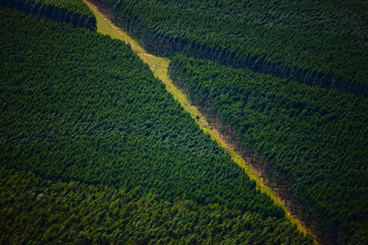 Suzano abre 5 processos seletivos com vagas para Ribas do Rio Pardo e Três Lagoas (MS) Suzano abre 5 processos seletivos com vagas para Ribas do Rio Pardo e Três Lagoas (MS)