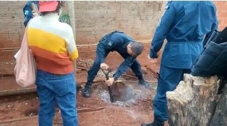 Um ano após sumir, idoso é encontrado enterrado e sobrinha confessa homicídio