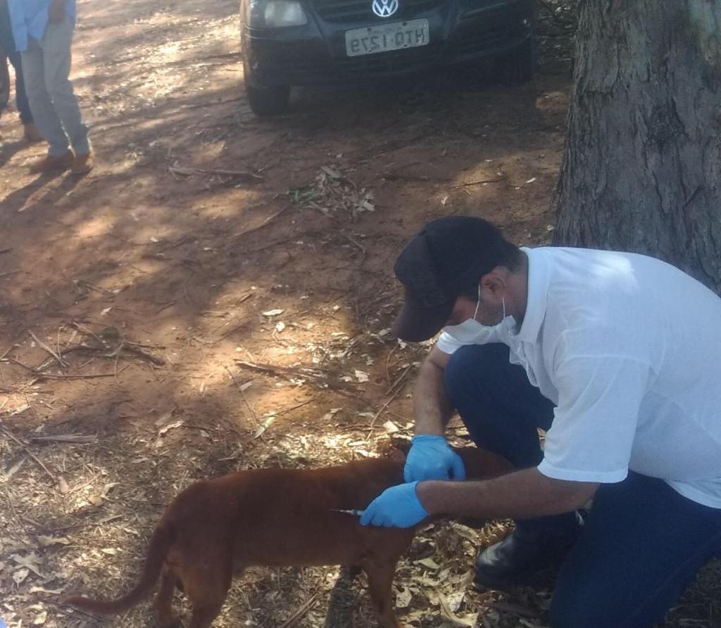 Campanha de Multivacinação Rural registra menor quantidade de pessoas e animais imunizados Campanha de Multivacinação Rural registra menor quantidade de pessoas e animais imunizados