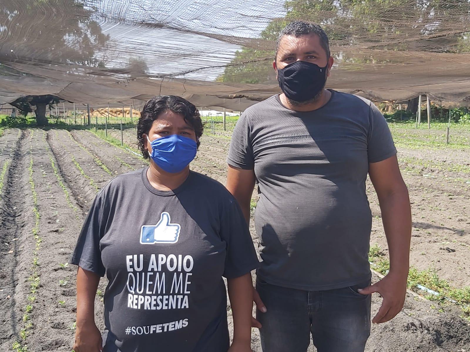 Com fome, capivaras invadem hortas de Três Lagoas Com fome, capivaras invadem hortas de Três Lagoas