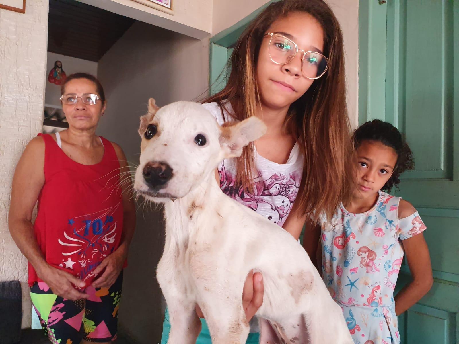 Com cãozinho atropelado e outro doente, três-lagoense pede ajuda para comprar medicamentos Com cãozinho atropelado e outro doente, três-lagoense pede ajuda para comprar medicamentos
