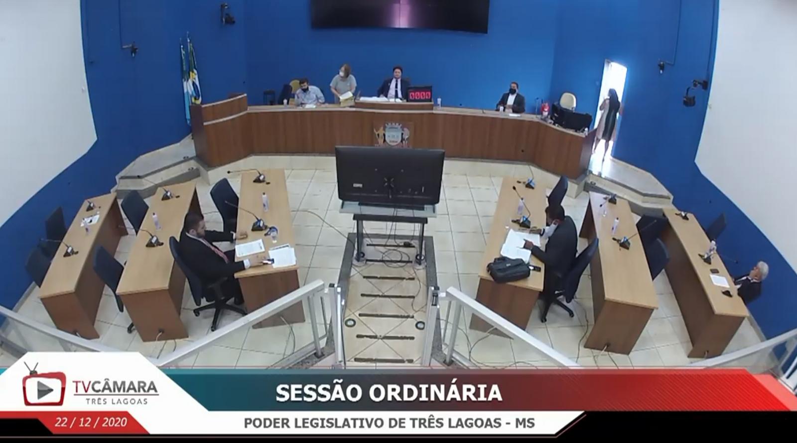 Caso seja aprovado pela câmara, pessoas condenadas por crimes ambientais ou maus tratos a animais não poderão exercer função pública em Três Lagoas 