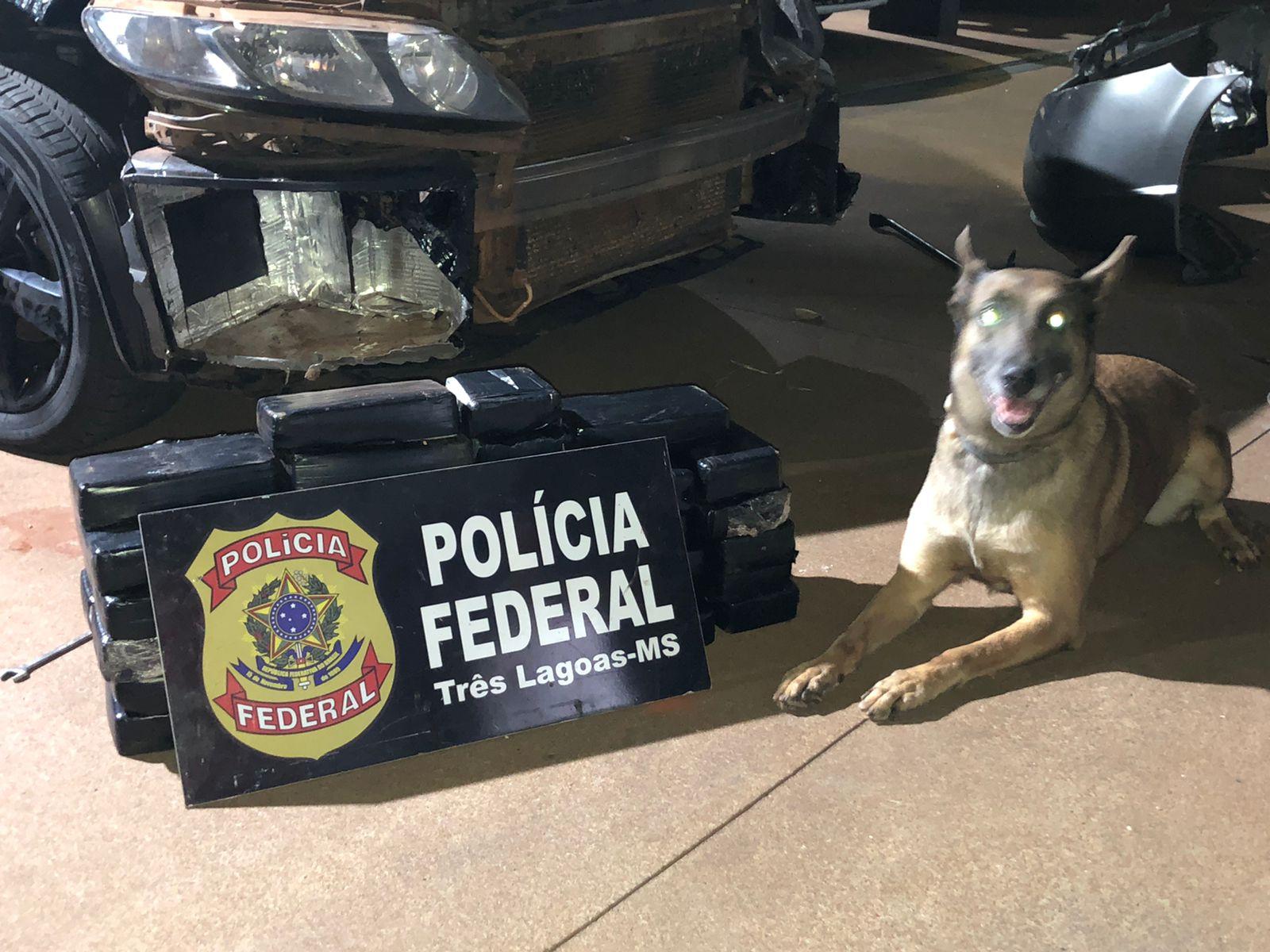 PF de Três Lagoas prende acusado de tráfico interestadual de drogas
