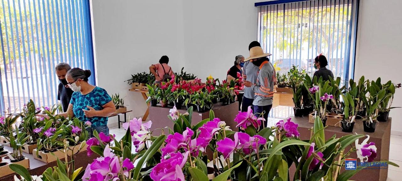 Orquidário Santa Ana realiza feira de orquídeas em Três Lagoas Orquidário Santa Ana realiza feira de orquídeas em Três Lagoas