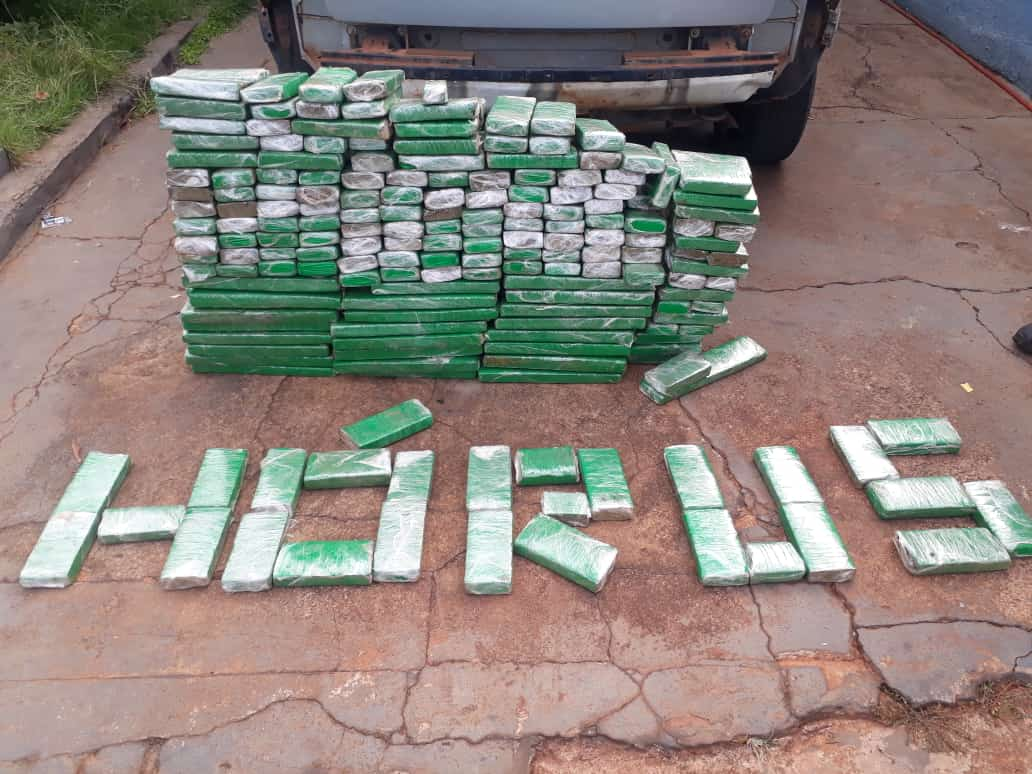Polícia Militar apreende 152 quilos de maconha durante Operação Hórus em Brasilândia