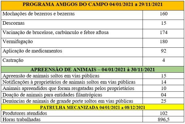 Agronegócio apresenta balanço de serviços e ações no ano de 2021