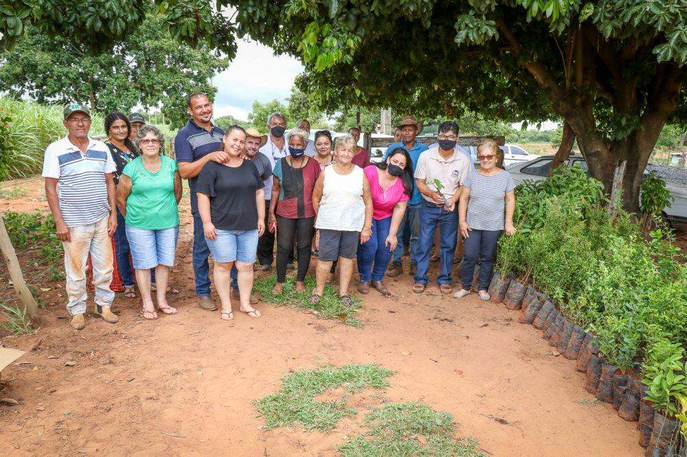 Agronegócio distribui mudas frutíferas para associados do Pontal do Faia iniciar produção Agronegócio distribui mudas frutíferas para associados do Pontal do Faia iniciar produção