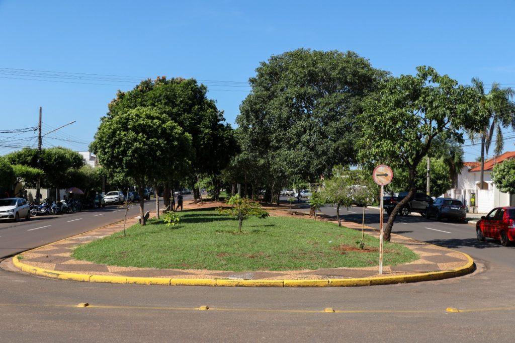 Plantio de árvores em canteiro central, praças e rotatórias é proibido e pode gerar multa