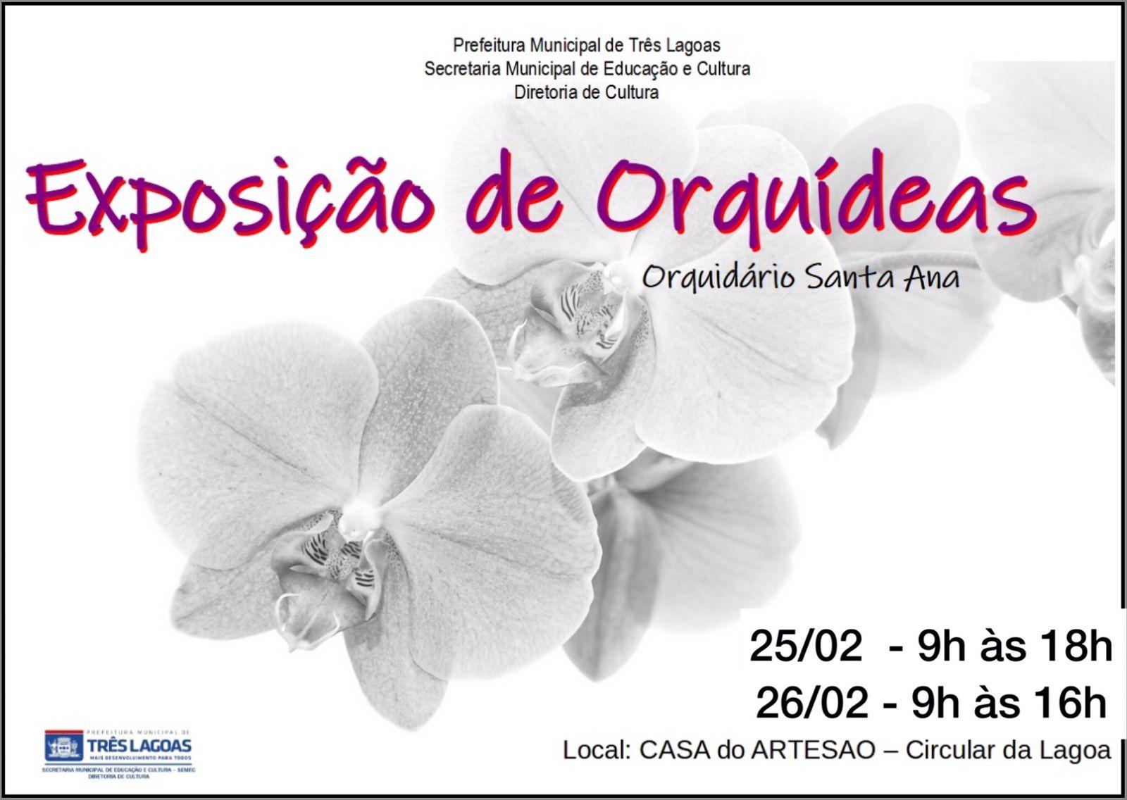 Casa do Artesão sediará Feira de Orquídeas nesta sexta-feira e sábado (25 e 26)