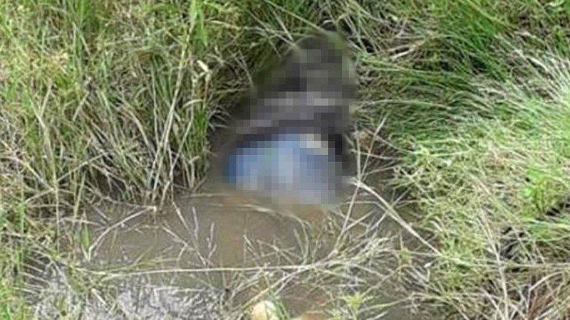 Mulher de 28 anos é encontrada morta em matagal sem partes do corpo Mulher de 28 anos é encontrada morta em matagal sem partes do corpo