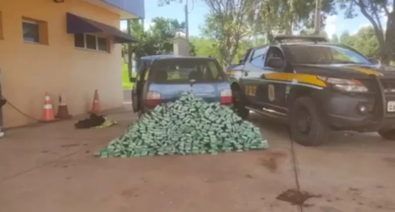 PRF apreende 235 Kg de maconha em Três Lagoas (MS) PRF apreende 235 Kg de maconha em Três Lagoas (MS)