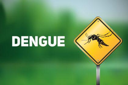 Boletim semanal confirma 02 novos casos de leishmaniose e 16 notificações por dengue em Três Lagoas Boletim semanal confirma 02 novos casos de leishmaniose e 16 notificações por dengue em Três Lagoas