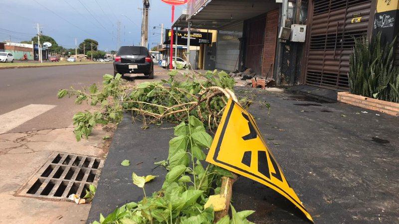 Motorista bêbado bate em árvore e mulher vai parar embaixo do carro em Campo Grande