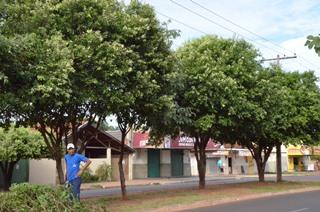 Prefeitura realiza poda de árvores em vias que receberão pavimentação no Bairro Jardim Esperança