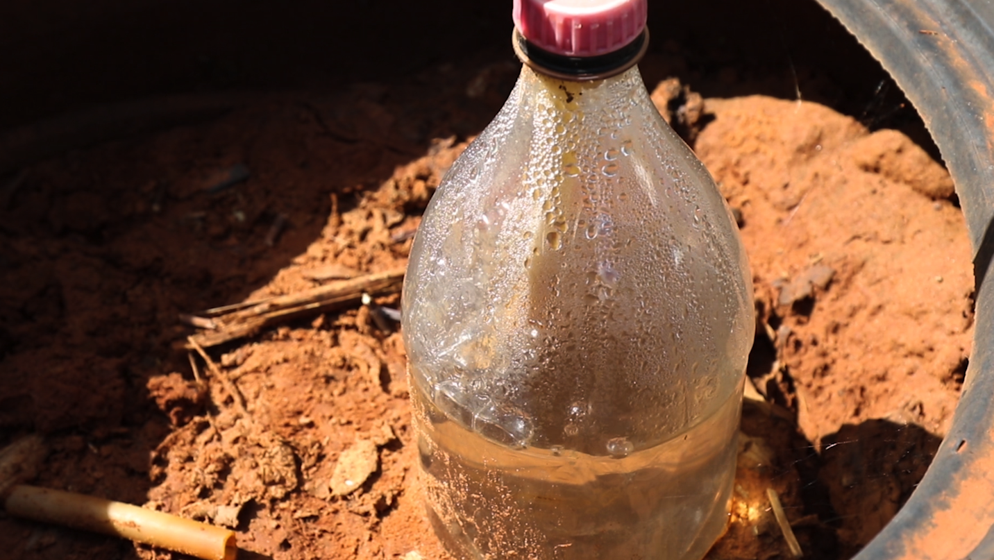 Após 01 ano de instalação de biodigestor, produtores rurais comemoram economia com gás de cozinha e equilíbrio de preço