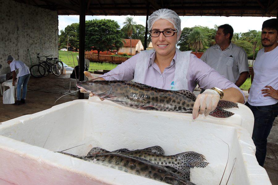 Começam hoje as inscrições para 7ª Feira do Peixe, cadastro termina na sexta-feira (08)