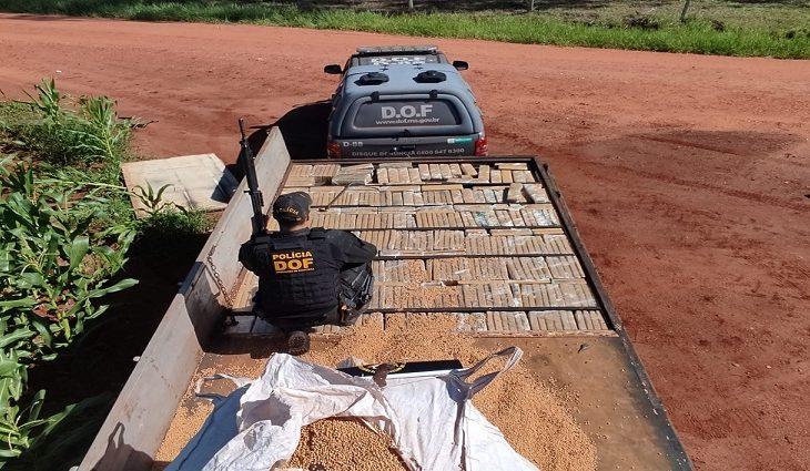 DOF apreende mais de 1,8 tonelada de maconha na fronteira com o Paraguai no fim de semana DOF apreende mais de 1,8 tonelada de maconha na fronteira com o Paraguai no fim de semana