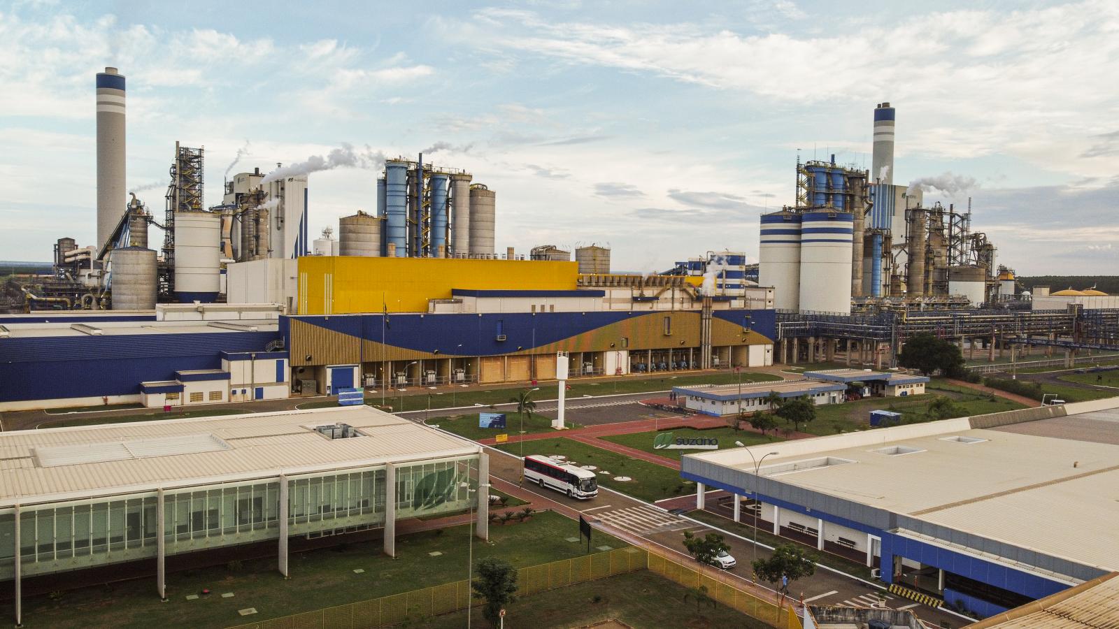 Em parceria com o Senai, Suzano abre inscrições para qualificação de pessoas com deficiência em Três Lagoas (MS)