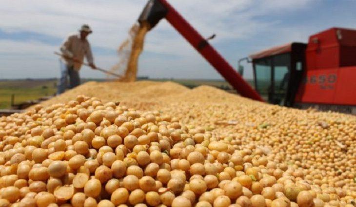 Estiagem provocou queda de 34,6% e Estado conclui safra da soja com 8,6 milhões de toneladas colhidas Estiagem provocou queda de 34,6% e Estado conclui safra da soja com 8,6 milhões de toneladas colhidas
