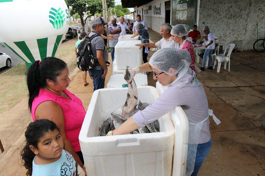 Hoje é o último dia das inscrições para 7ª Edição da Feira do Peixe