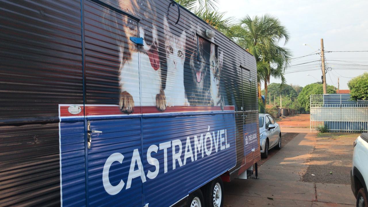 Castramóvel da SMS de TL começará a castrar felinos fêmeas, entenda como levar seu pet Castramóvel da SMS de TL começará a castrar felinos fêmeas, entenda como levar seu pet