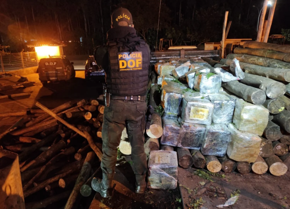 DOF apreende carga de droga de valor milionário em meio carregamento de madeira em Ponta Porã DOF apreende carga de droga de valor milionário em meio carregamento de madeira em Ponta Porã