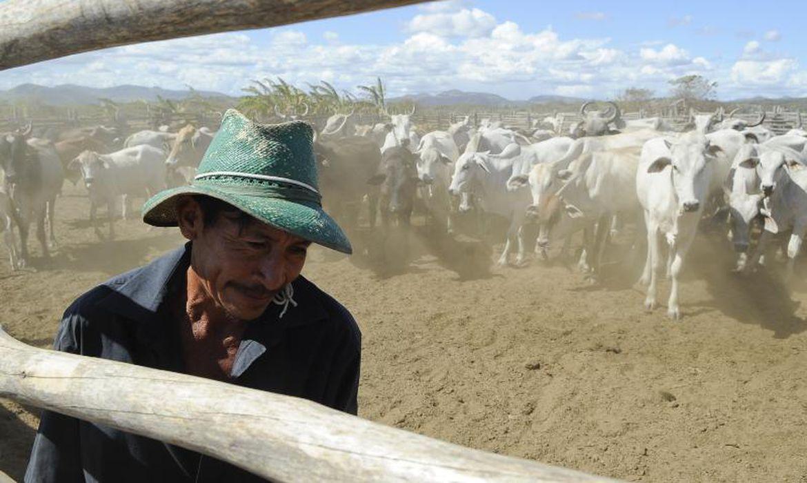 Vacinação contra aftosa será suspensa em seis estados e no DF Vacinação contra aftosa será suspensa em seis estados e no DF