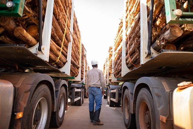 Eldorado Brasil está contratando motoristas tritrem