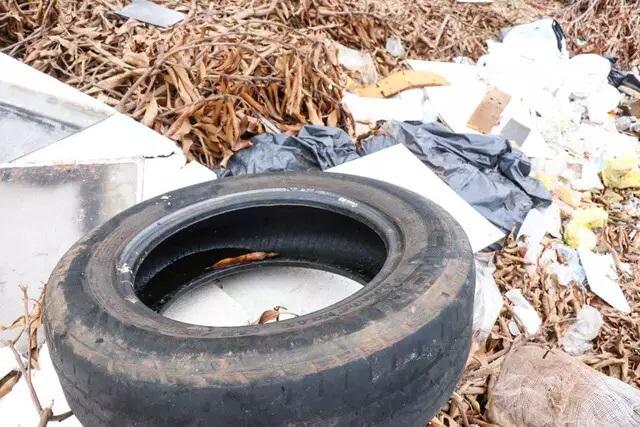 Três Lagoas é a 2º cidade de MS que mais registrou casos de dengue 