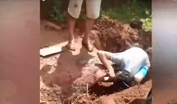 Em Campo Grande, cachorra prenha é enterrada viva, tem filhotes dentro de buraco e morre 
