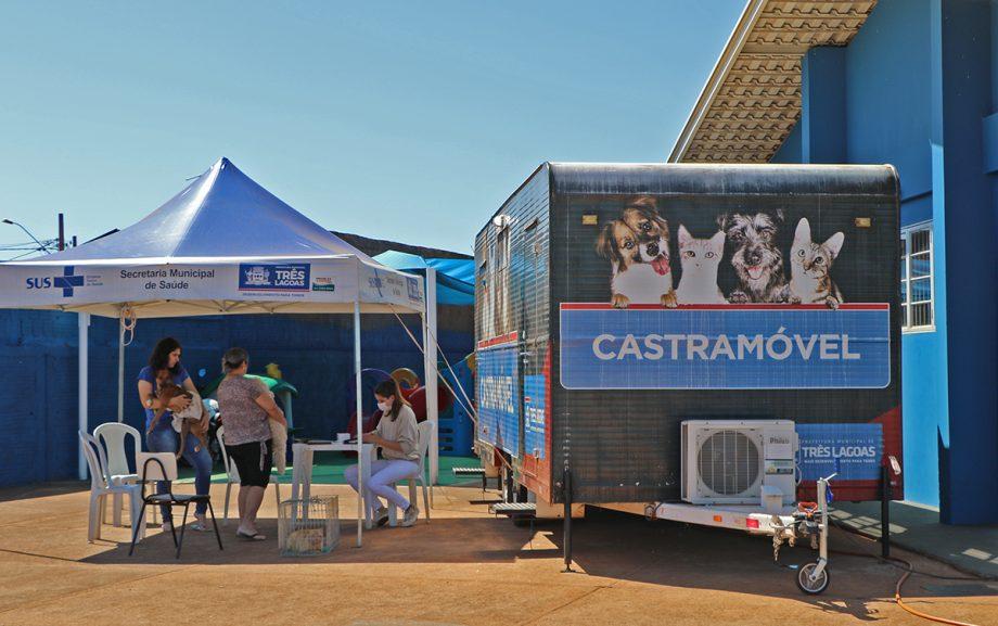 Serviço gratuito da Prefeitura já castrou 6.402 animais em quatro anos de atendimento