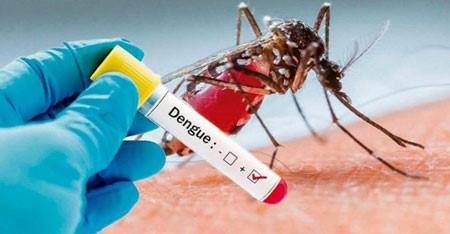 Boletim da dengue apresenta 163 casos suspeitos nesta semana em Três Lagoas Boletim da dengue apresenta 163 casos suspeitos nesta semana em Três Lagoas