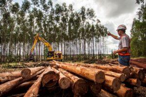 Suzano está com vaga aberta para Analista de Logística Sênior em Ribas do Rio Pardo