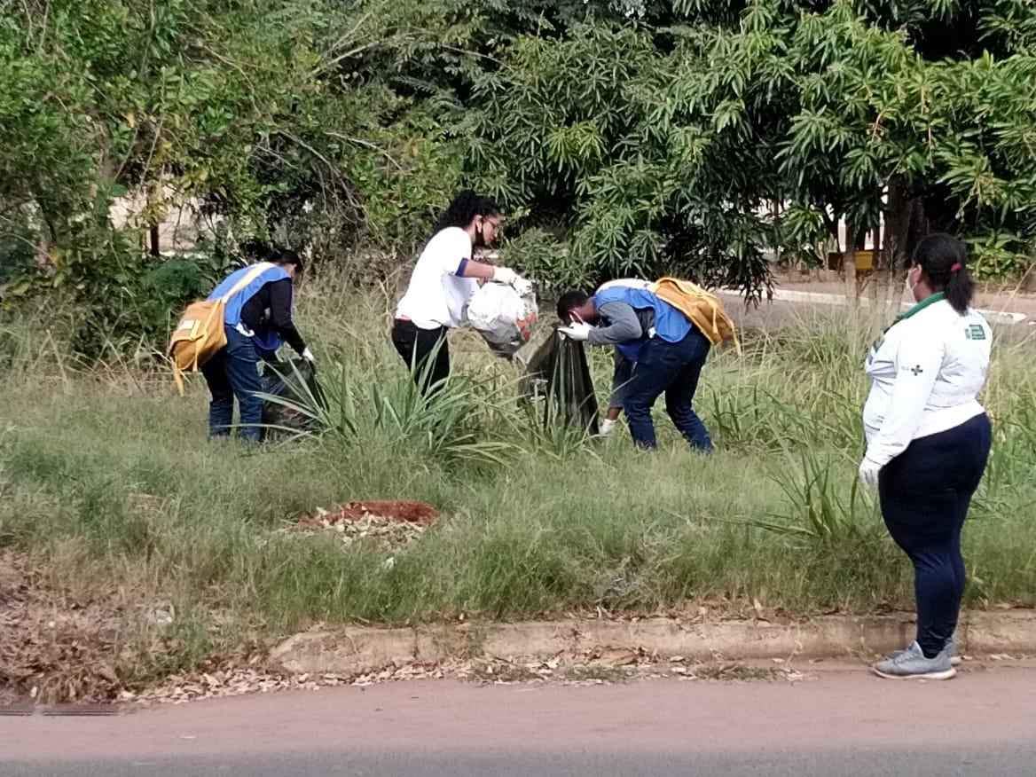 Três Lagoas continua em alerta crítico da doença provocada pelo Aedes aegypti; Estado registrou mil casos em uma semana 