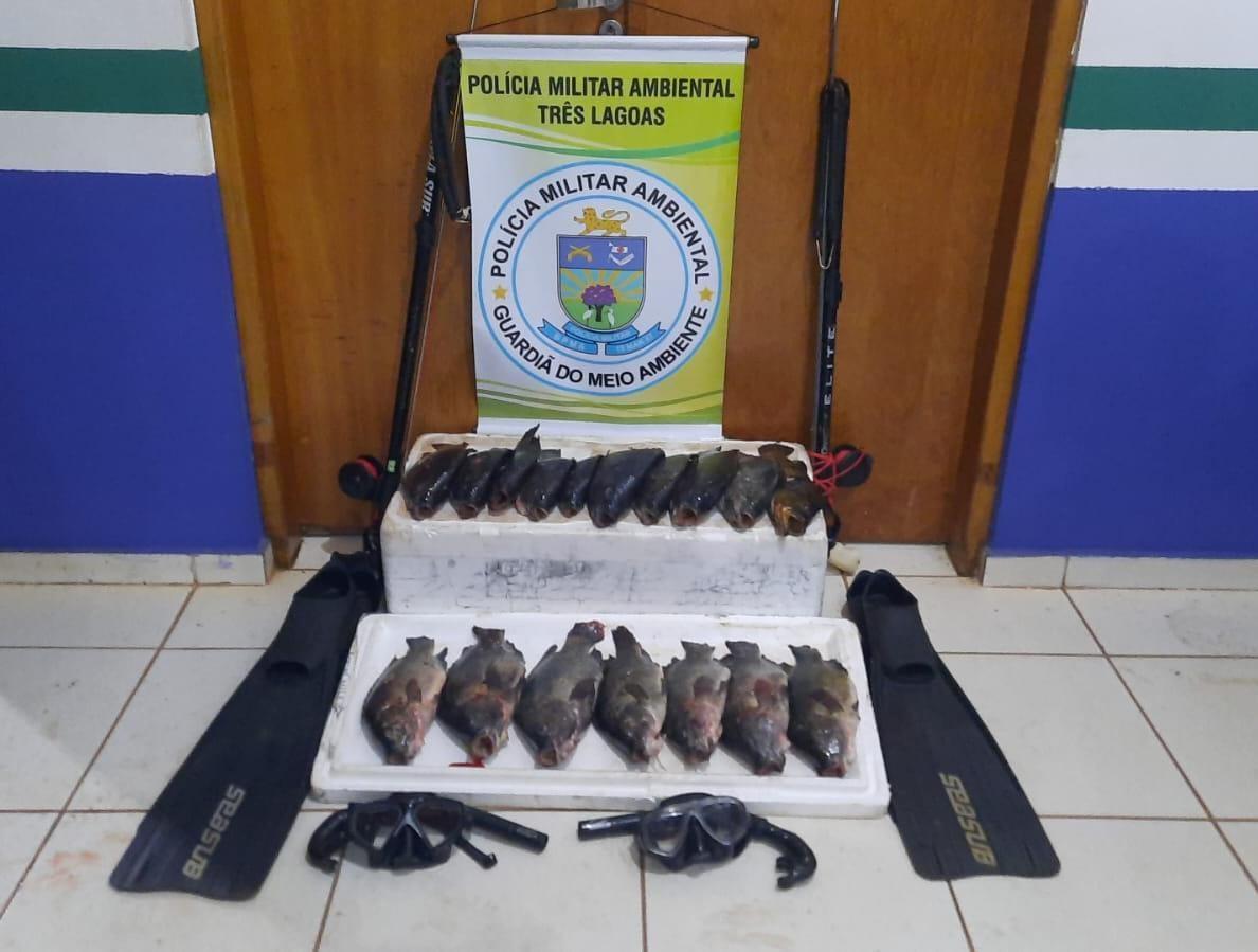 PMA de Três Lagoas autua dois pescadores em R$ 1,4 mil por pesca subaquática ilegal PMA de Três Lagoas autua dois pescadores em R$ 1,4 mil por pesca subaquática ilegal