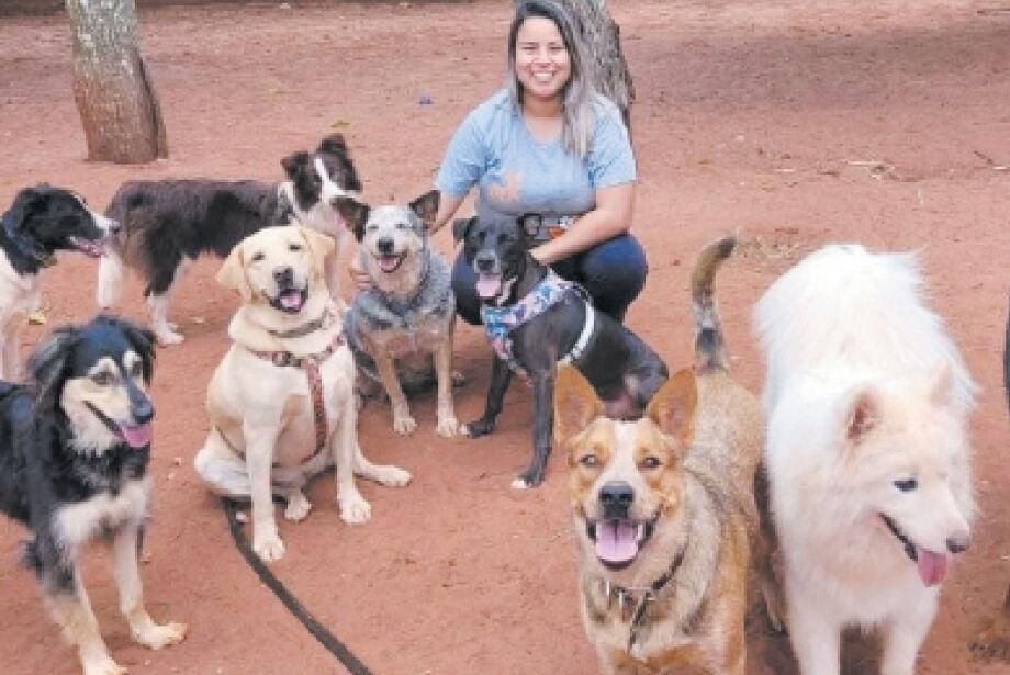Cães também ficam doentes, saiba como lidar com o comportamento Cães também ficam doentes, saiba como lidar com o comportamento
