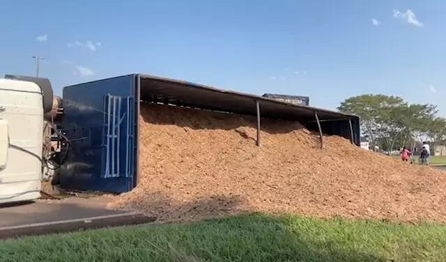 Carreta com resíduo de eucalipto tomba em rotatória e deixa trânsito lento 