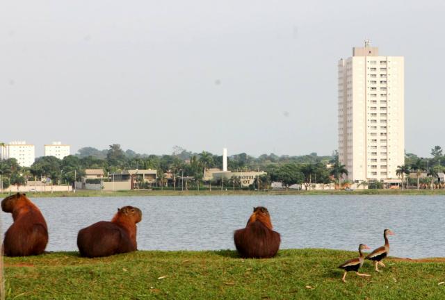 Quinta-feira tem previsão de sol e tempo estável em Mato Grosso do Sul