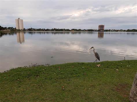 Semana começa com friozinho, mas máxima deve chegar aos 30ºC em Três Lagoas Semana começa com friozinho, mas máxima deve chegar aos 30ºC em Três Lagoas
