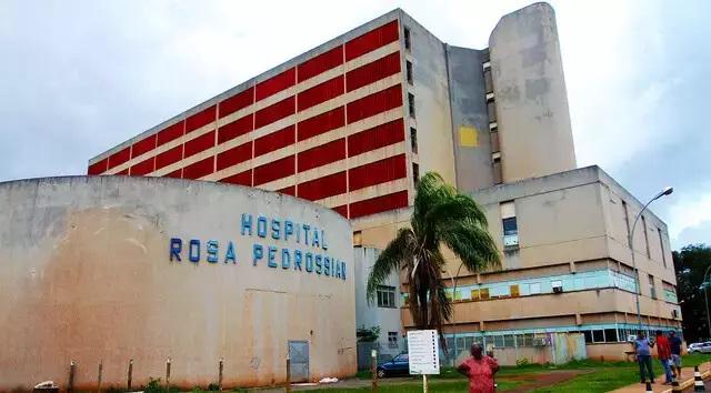 Idoso atacado por abelhas morre após 4 dias de internação 