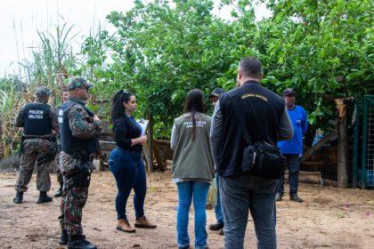 Meio Ambiente, Vigilância Sanitária, PM (Patrulha Rural), CCZ, PMA, atendem determinação judicial e apreendem animais no Cinturão Verde