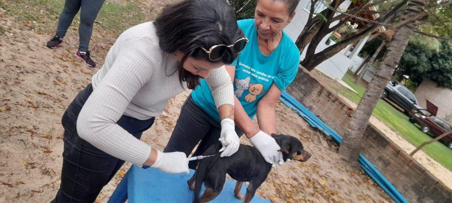 Multivacinação Rural 2023 atendeu 165 pessoas e 462 animais, em oito dias de Campanha