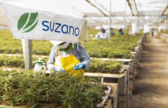 Suzano e Senai oferecem qualificação profissional para pessoas com deficiência em Ribas do Rio Pardo Suzano e Senai oferecem qualificação profissional para pessoas com deficiência em Ribas do Rio Pardo