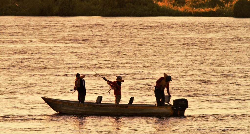 Defeso da Piracema começa dia 5 de novembro em MS e último fim de semana de pesca exige cuidados