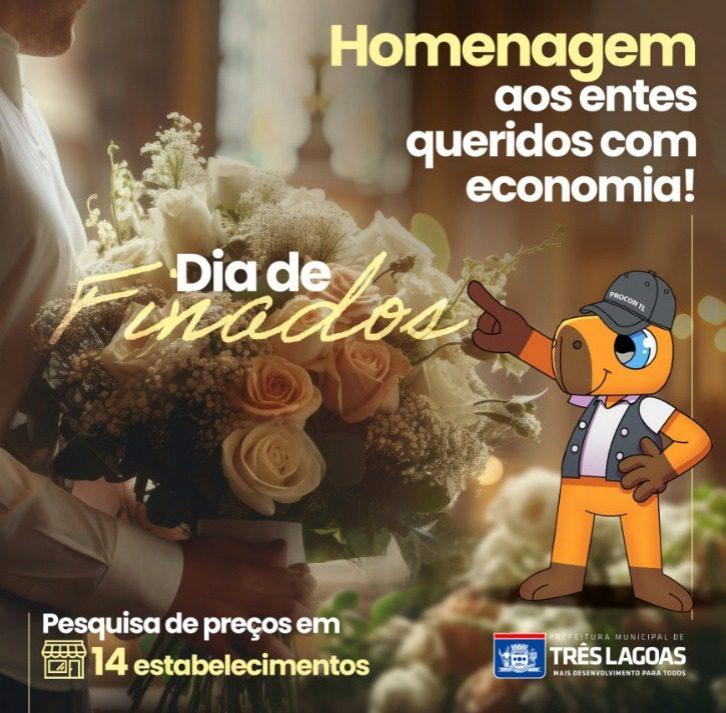 DIA DE FINADOS – PROCON realiza pesquisa de preços de flores e velas