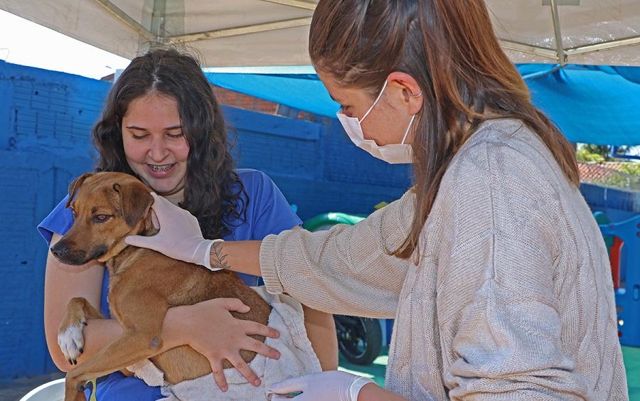Vagas para castração da etapa do Castrámovel no Santa Luzia estão esgotadas, mas outros serviços seguem normalmente
